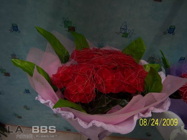 调整大小 照片 001.jpg