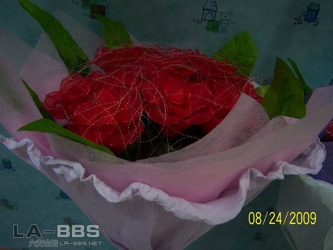 调整大小 照片 003.jpg