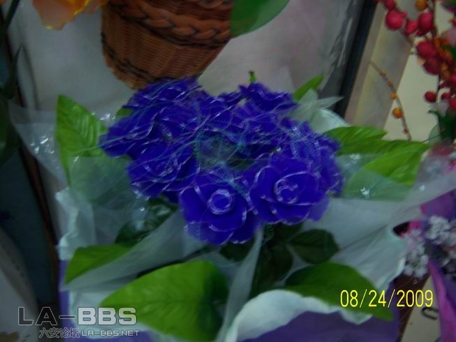 调整大小 照片 009.jpg