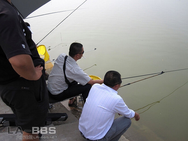 版主也来一试身手