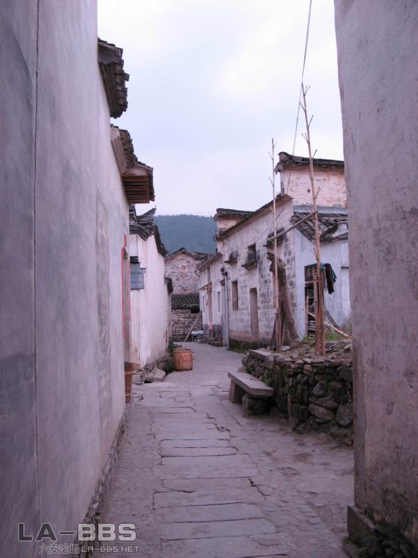 调整大小 IMG_0756.JPG