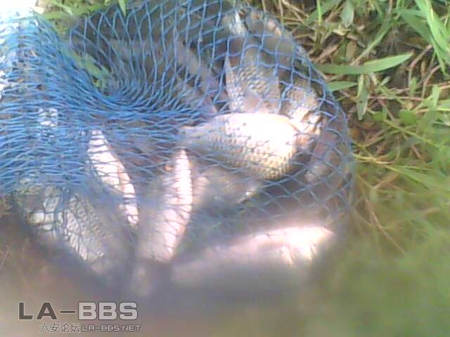 不大 但是过瘾了