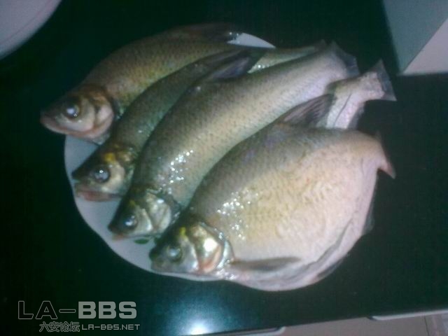 调整大小 图像0023.jpg