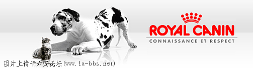 rc_banner.png