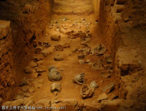 宝藏啊 大家组队和我一起去挖吧 哈哈