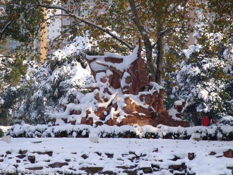 调整大小 SS853290.JPG