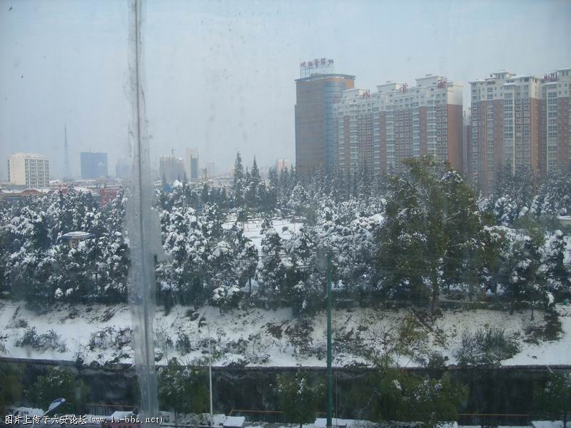 调整大小 SS853293.JPG