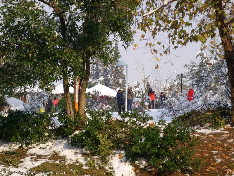 调整大小 SS853286.JPG