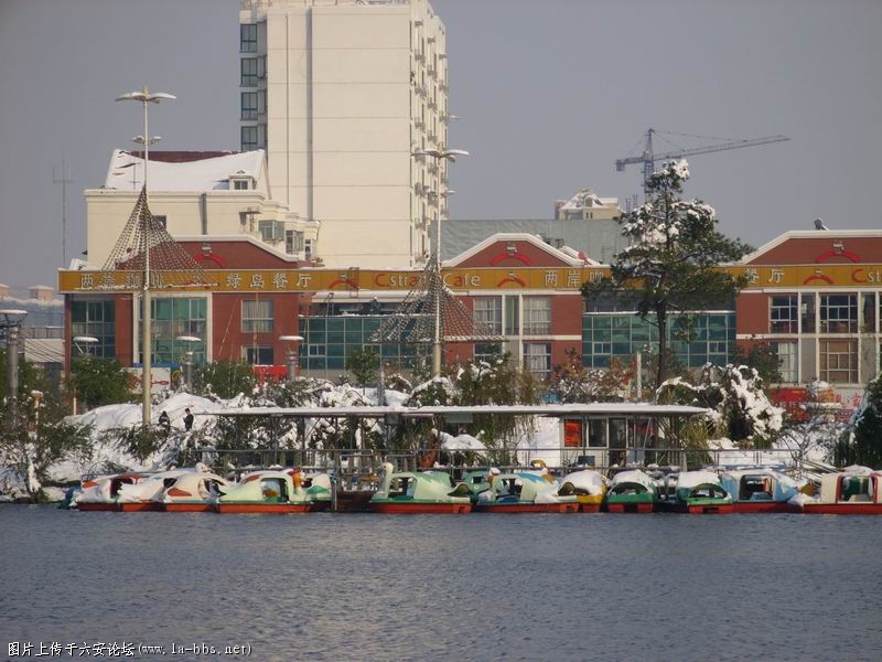 调整大小 SS853291.JPG