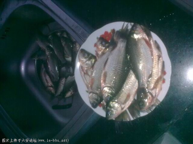 调整大小 图像0083.jpg