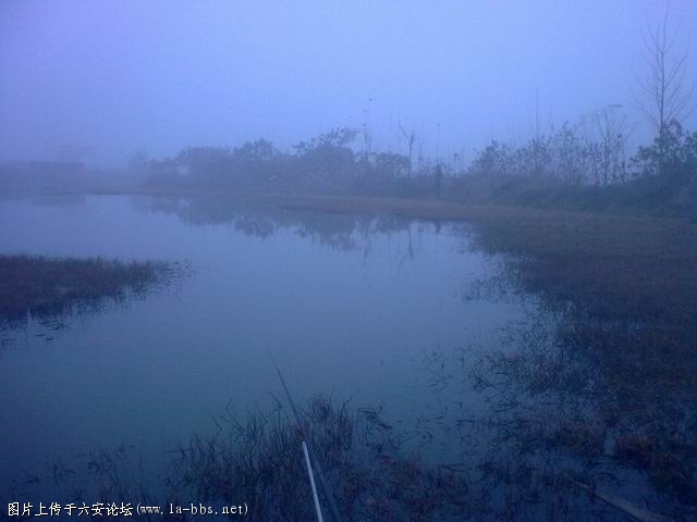 调整大小 图像0081.jpg