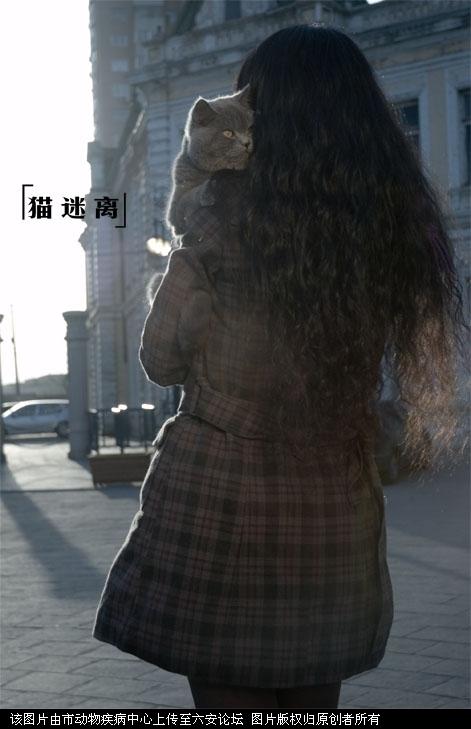 20070227165737034.jpg