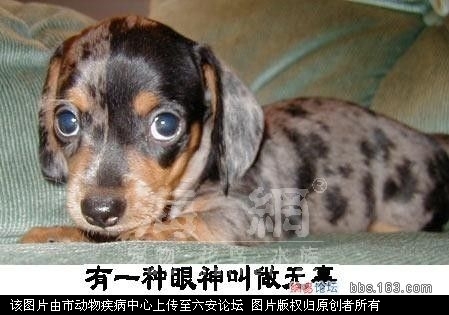 20071114_7c21f87717a98b591c26KWtRXG6YsG4Z.jpg