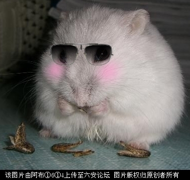 http_imgloadCAGCLDSV.jpg