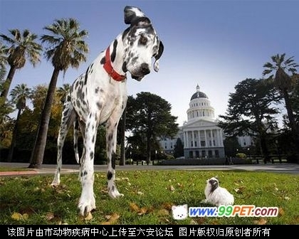 20090814121835.jpg