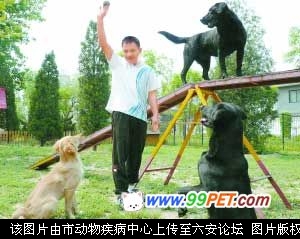 20090505115415.jpg