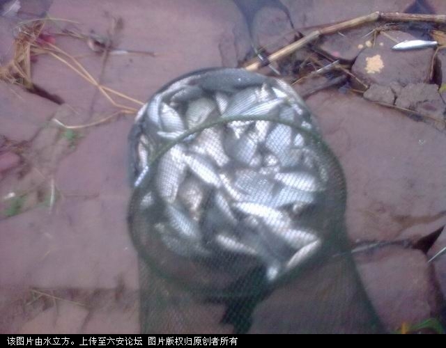 调整大小 图像0085.jpg