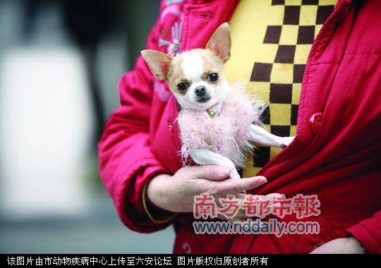 20100110123553.jpg