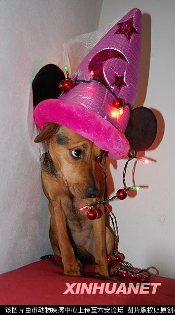 20100113123925.jpg