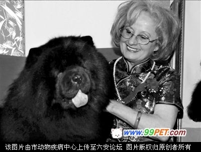 20100126123441.jpg