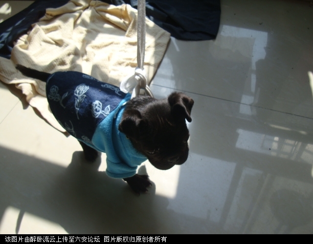 DSC06057.JPG