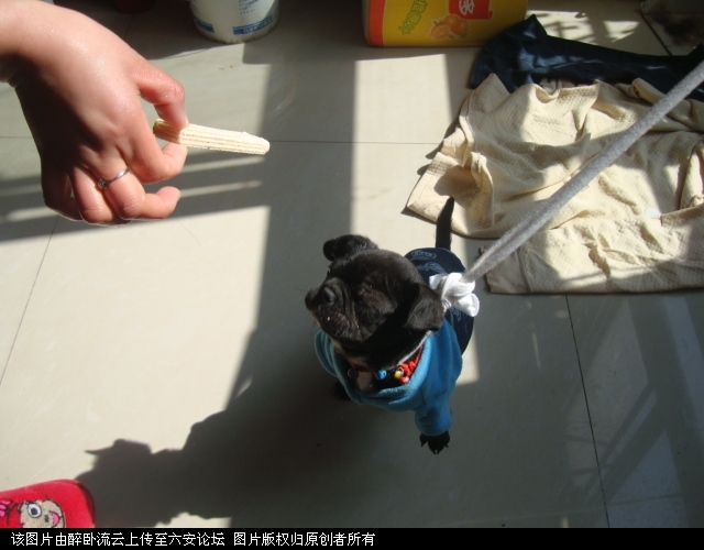 DSC06060.JPG