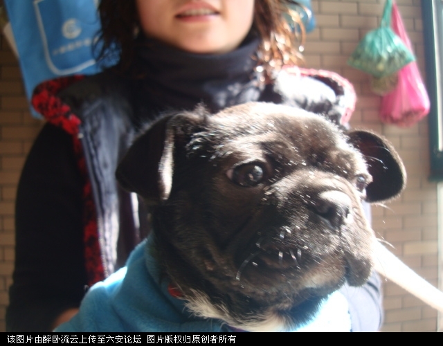 DSC06063.JPG