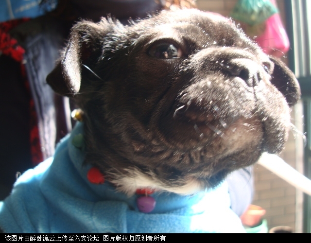 DSC06062.JPG
