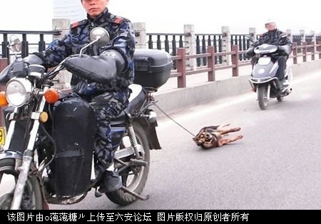 拍照的网友说，当时狗腿已被拖得血肉模糊