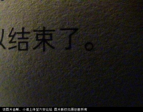 p_large_CzZp_2dbf000282972d0d.jpg