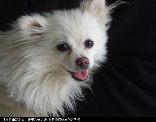 DSCF0569.JPG