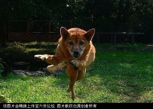 未命名1.jpg