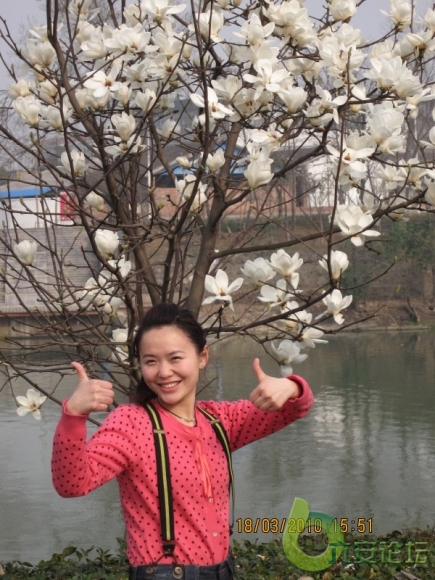 复件 p_large_DIiN_739e0000d96f2d11.jpg