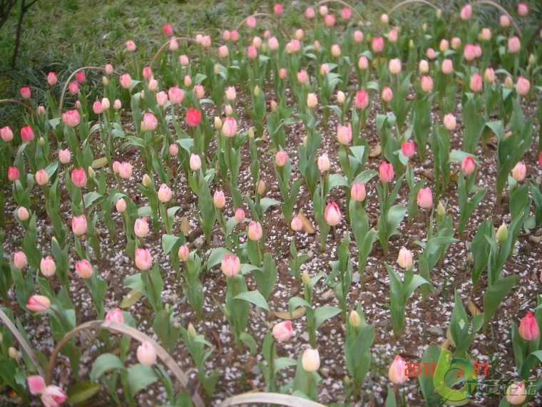 调整大小 DSC03658.JPG