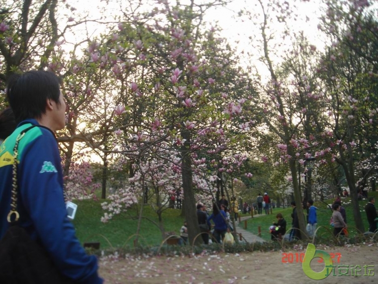 调整大小 DSC03680.JPG