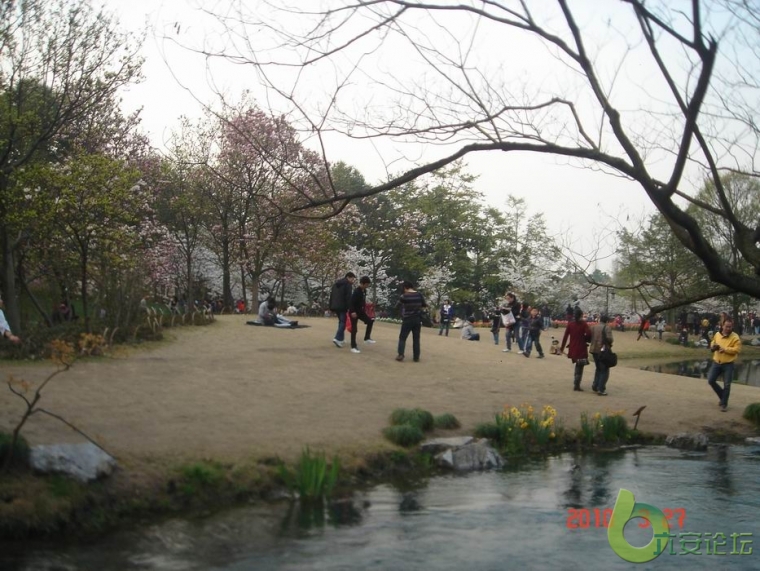 调整大小 DSC03678.JPG