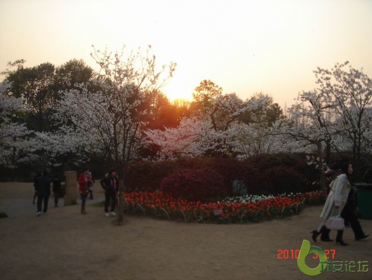 调整大小 DSC03699.JPG