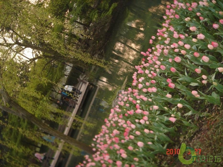 调整大小 DSC03702.JPG