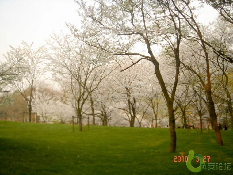 调整大小 重新曝光 DSC03639.JPG