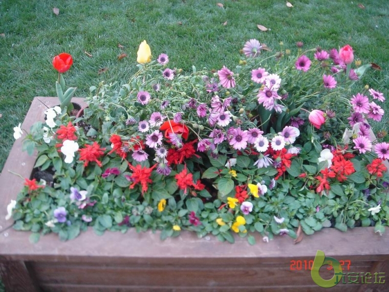 调整大小 DSC03691.JPG