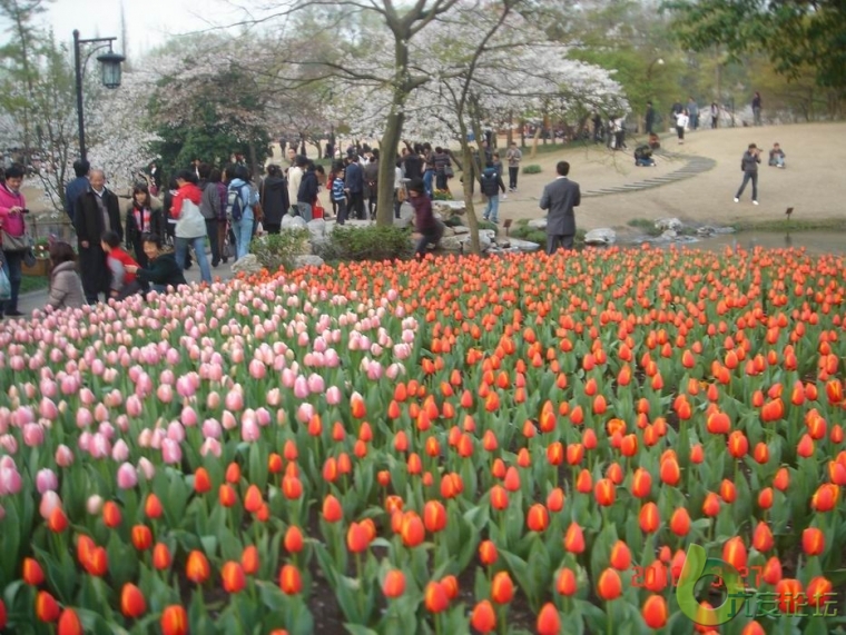 调整大小 DSC03688.JPG