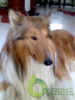 IMG0017A.jpg