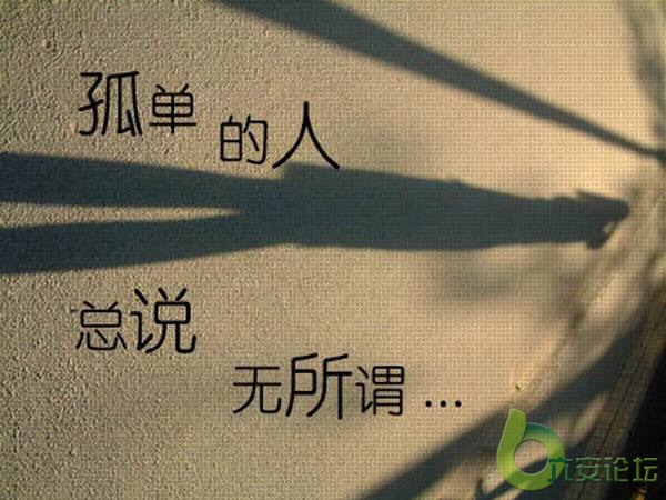 2008061509580337688.jpg