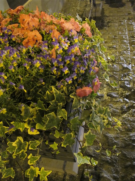 复件 IMG_1884_副本.jpg