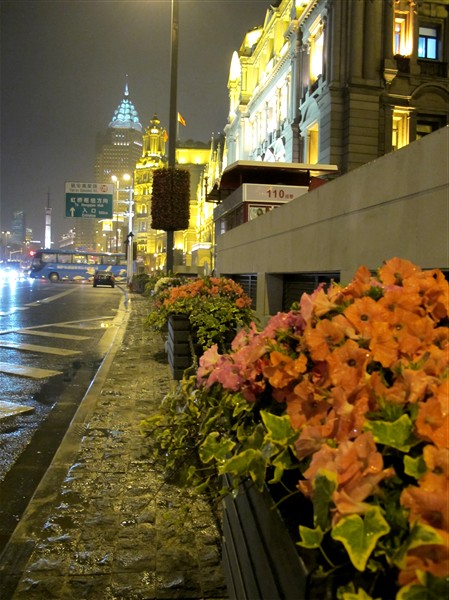 复件 (5) IMG_1883_副本.jpg