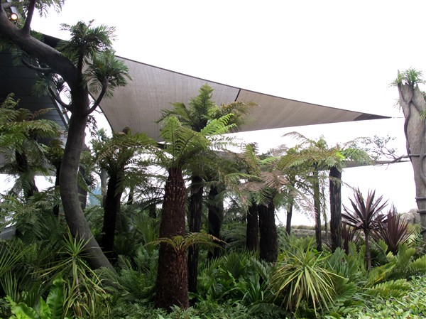 复件 IMG_1762_副本.jpg