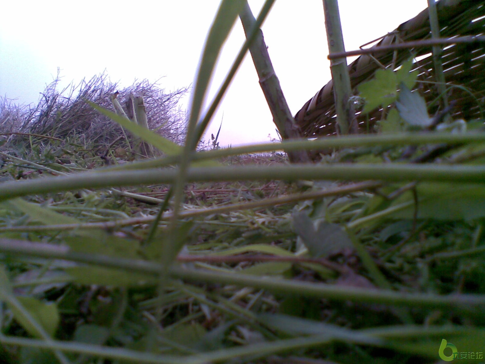 20100531721.jpg