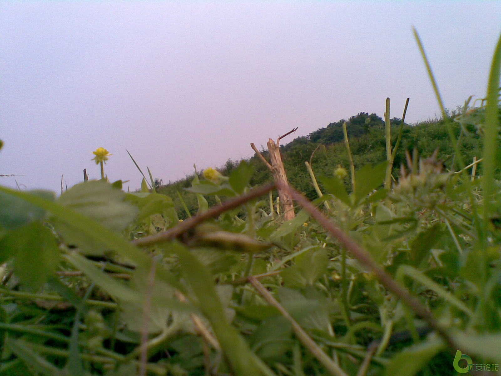 20100531722.jpg