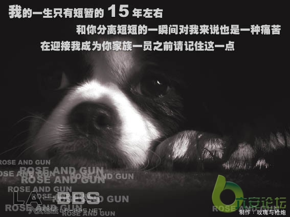 亲爱的.我不说话,你能懂我么?