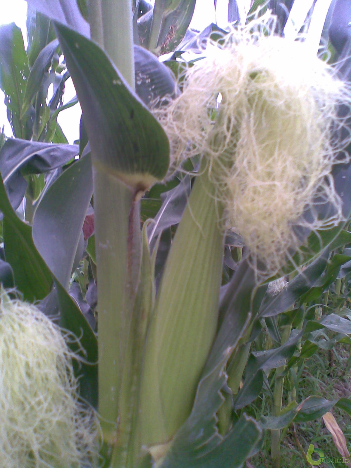 20100625815.jpg